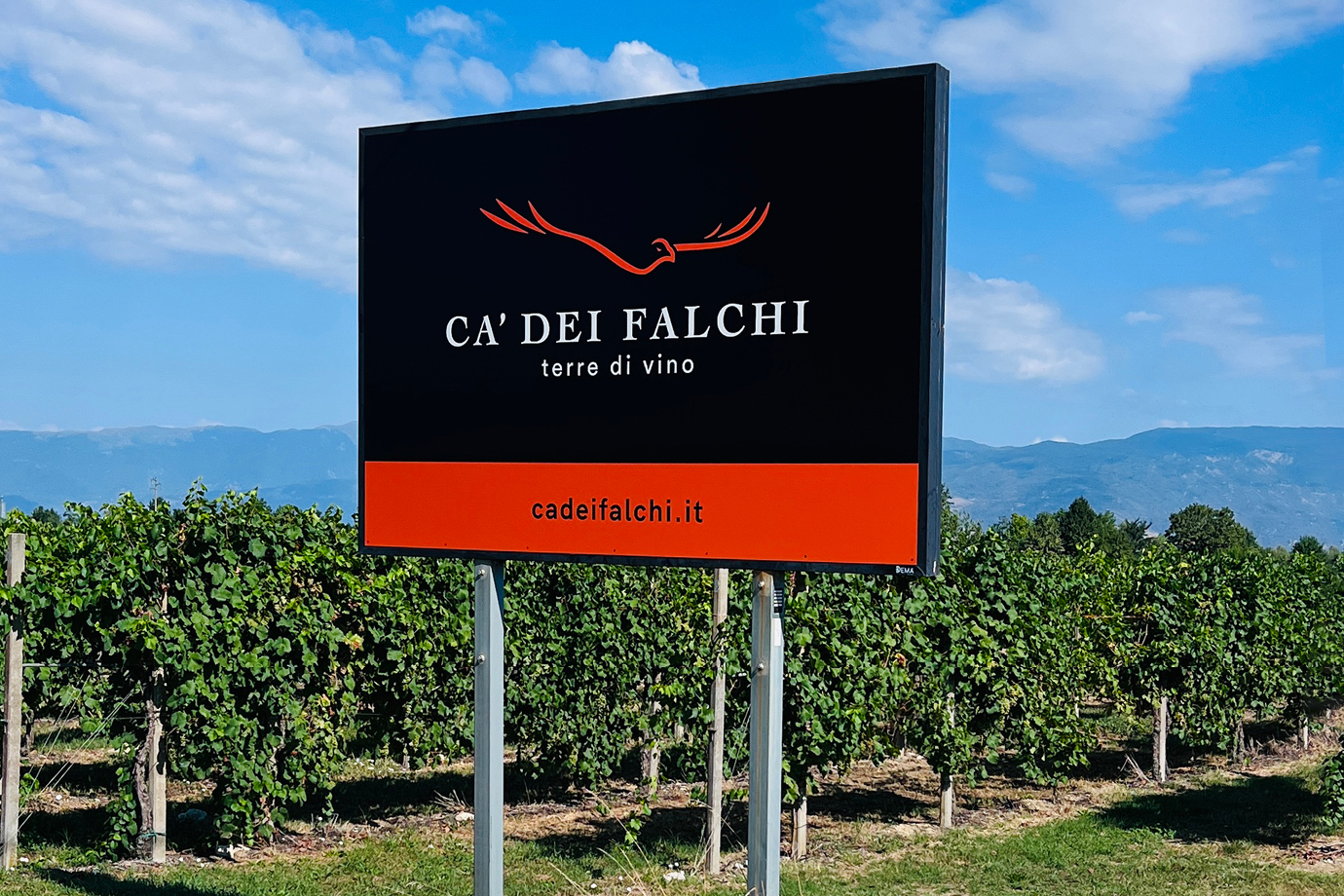02_cdf_wineshop-1